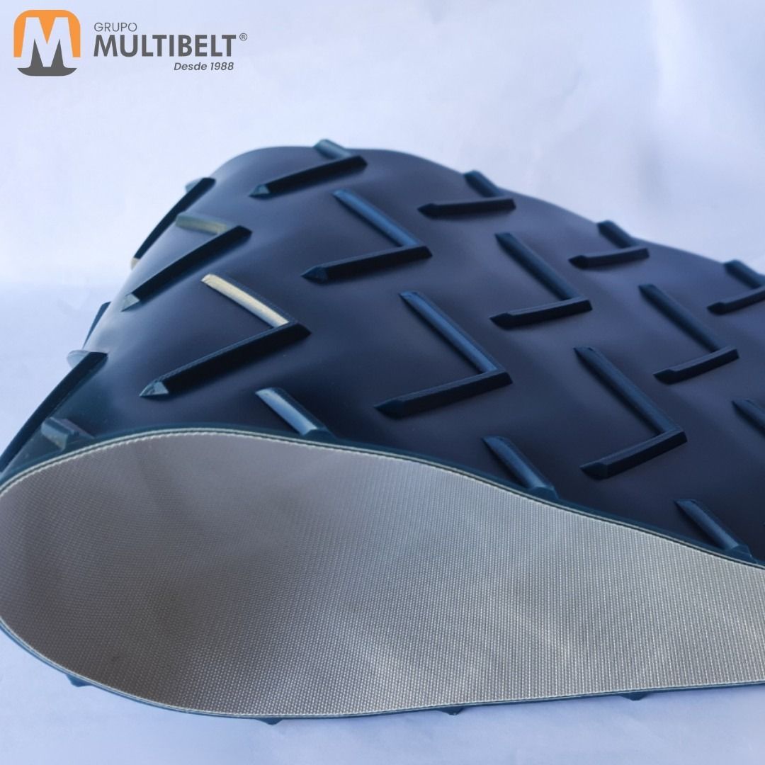 Correia para Sementeiras