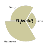 Agrain® 02 Spent Grain