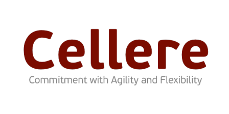 CELLERE SOLUÇÕES EM TIC S/A