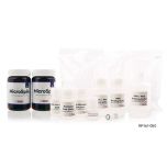 HiGene™ DualPrep FFPE DNA/RNA Extraction Kit