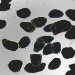 Bildoptische inline-Sensoren