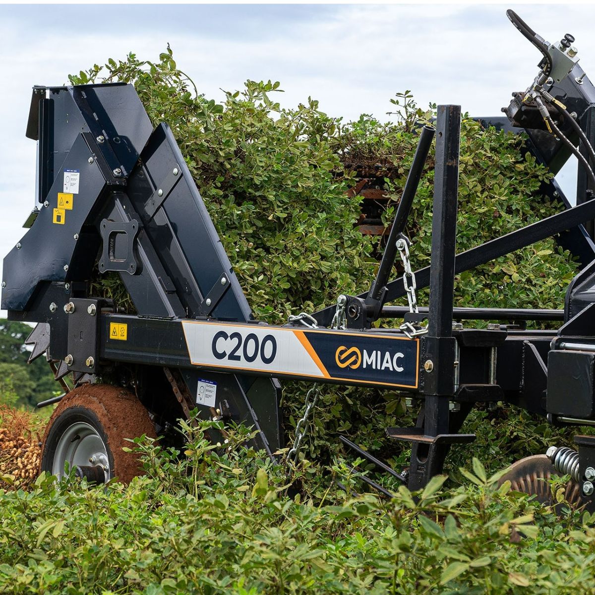 Arrancador de amendoim