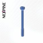 NEXPINE – Where Biomechanics Meets Breakthroughs