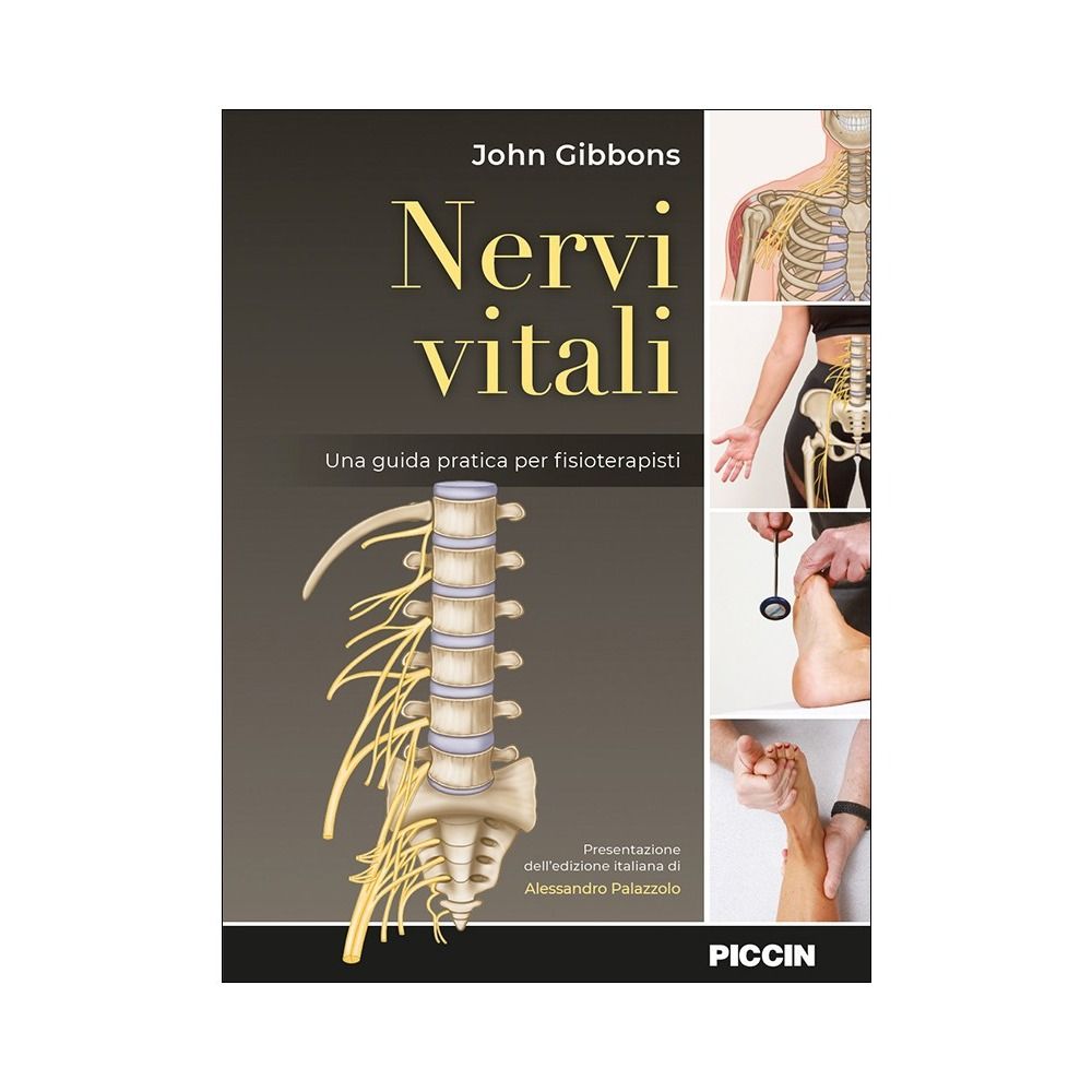 Nervi vitali