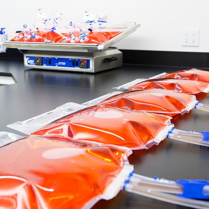 TepoFlex® PE Biocontainers