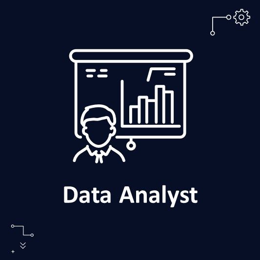 Data Analyst