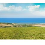 Mate in Travel - Experience designer