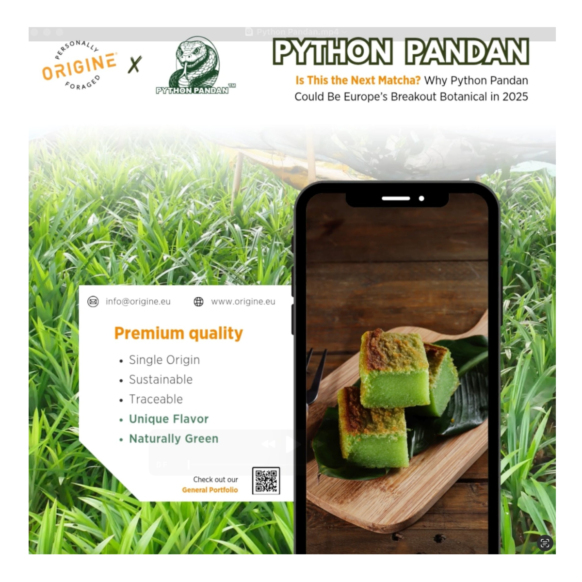 100% Natural Extract Powders - Pandan & Butterfly Pea