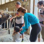 Wild Hirpinia Bike Tour