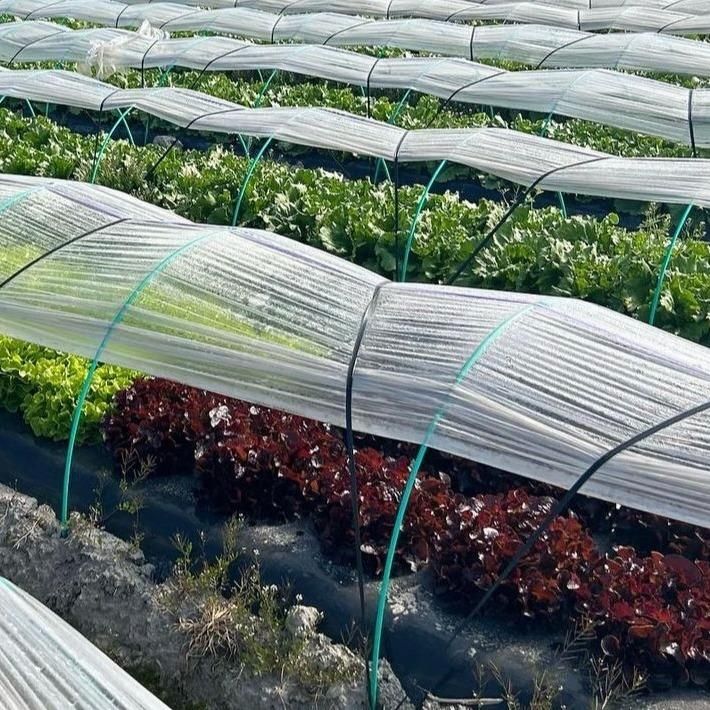 Arceau flexible en matériaux composites