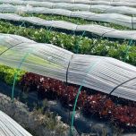 Arceau flexible en matériaux composites