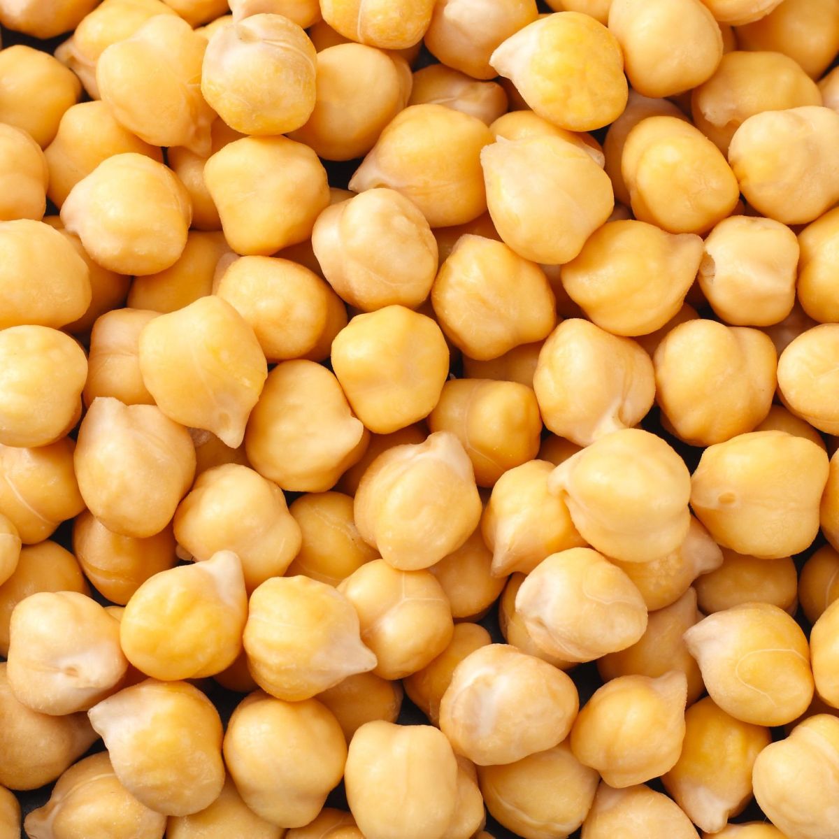 ATURA Chickpea Protein 70%
