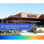 Mammalian Biomanufacturing