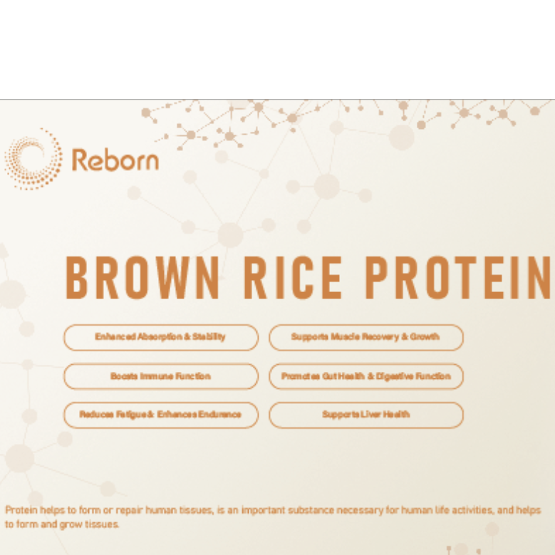 Brown Rice Protein Peptide