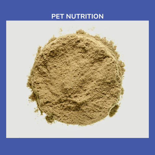 Biolane™ – Green-lipped Mussel Extract