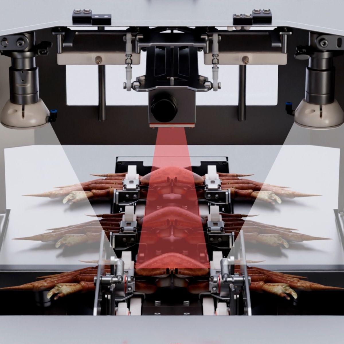 Intelligent Crab Processing