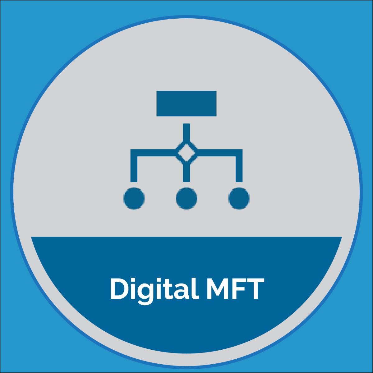 SAP Digital Manufacturing