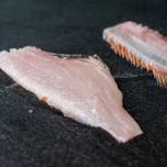 Multi Species Splitting BAADER 576