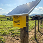 TECNOLOGIA QUE ENTREGA RESULTADO NO MANEJO