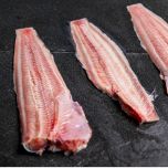 Multi Species Splitting BAADER 576