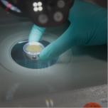 Particle Identification and Trouble Shooting