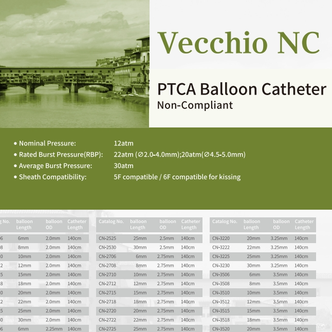 Vecchio (Non-Compliant) PTCA Balloon Dilatation Catheter
