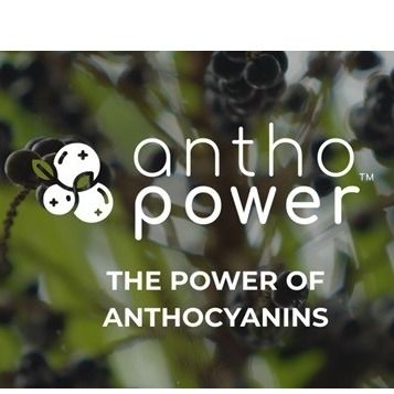 AnthoPower – The Power of Anthocyanins