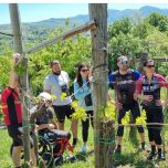 Wine Miracle Bike Tour