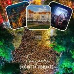 ROMANIA - TIMISOARA - CITTÀ CON UN'ESPERIENZA VIBRANTE