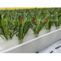 RCS 2.0 - Le système innovant et durable d'enracinement