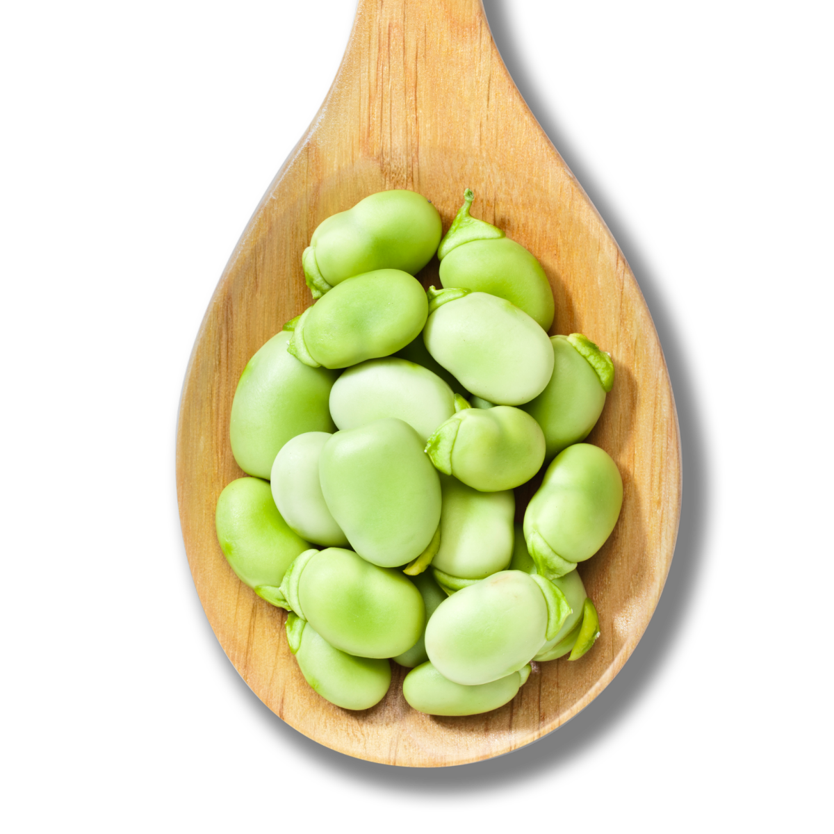 ATURA Fava Bean Flour