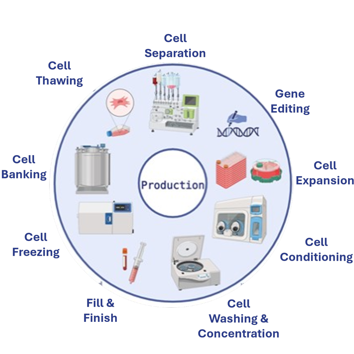 GMP Manufacturing of Cell Therapies