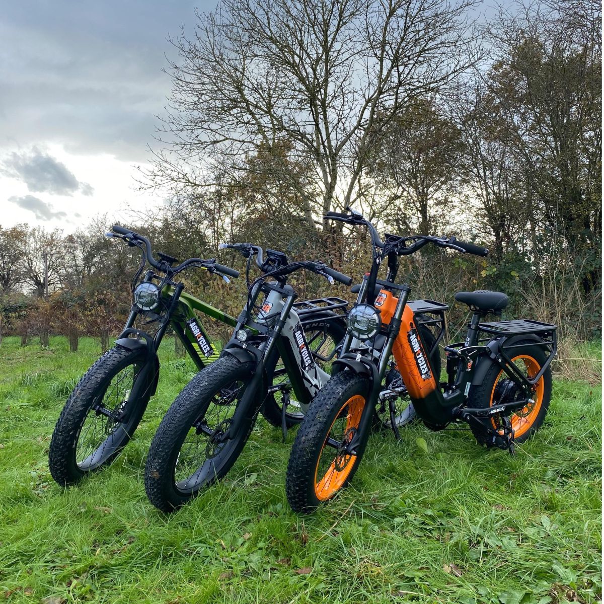 VÉLOS ÉLECTRIQUES - 3 modèles tout-terrain