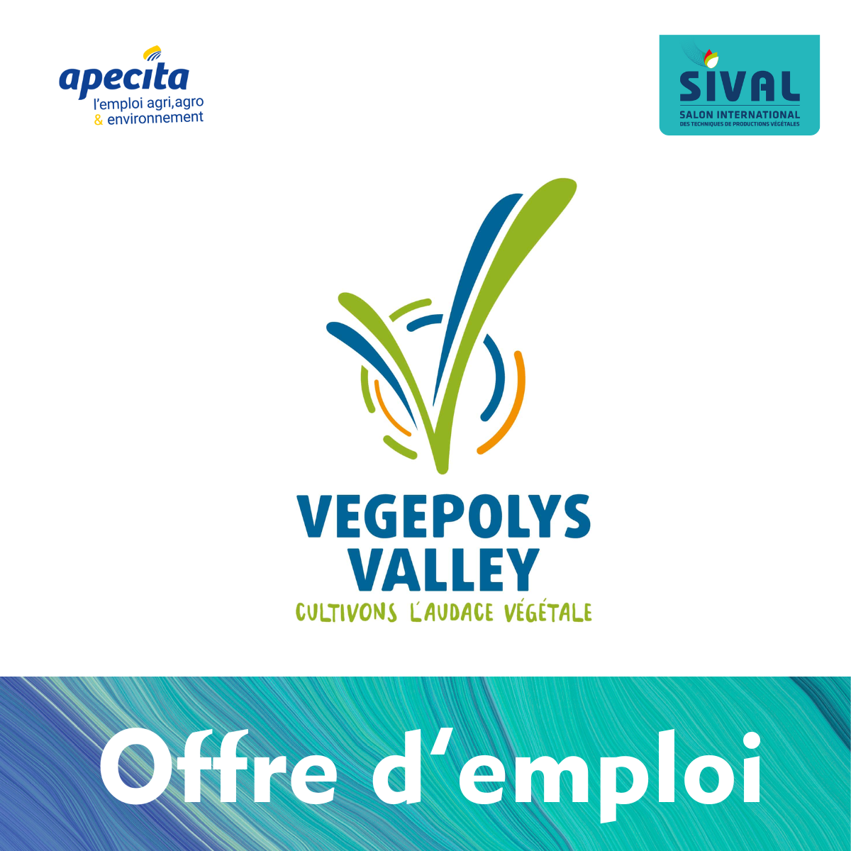 CHARGÉ(E) DE COMMUNICATION – BIOMIMÉTISME ET BIOÉCONOMIE (H/F)