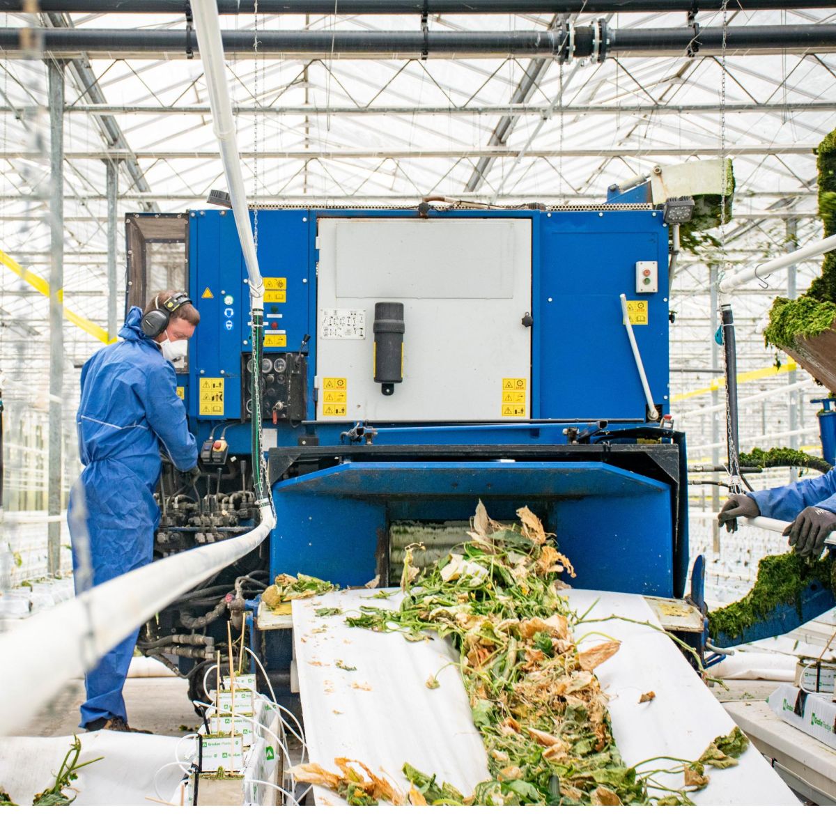 BROYAGE / ROTATION DES CULTURES