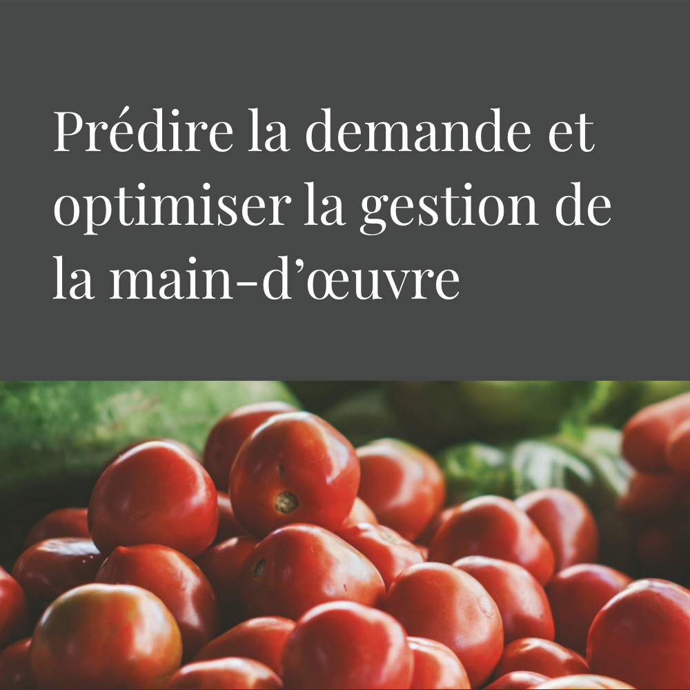 Metro - Predicting demand and optimizing workforce management