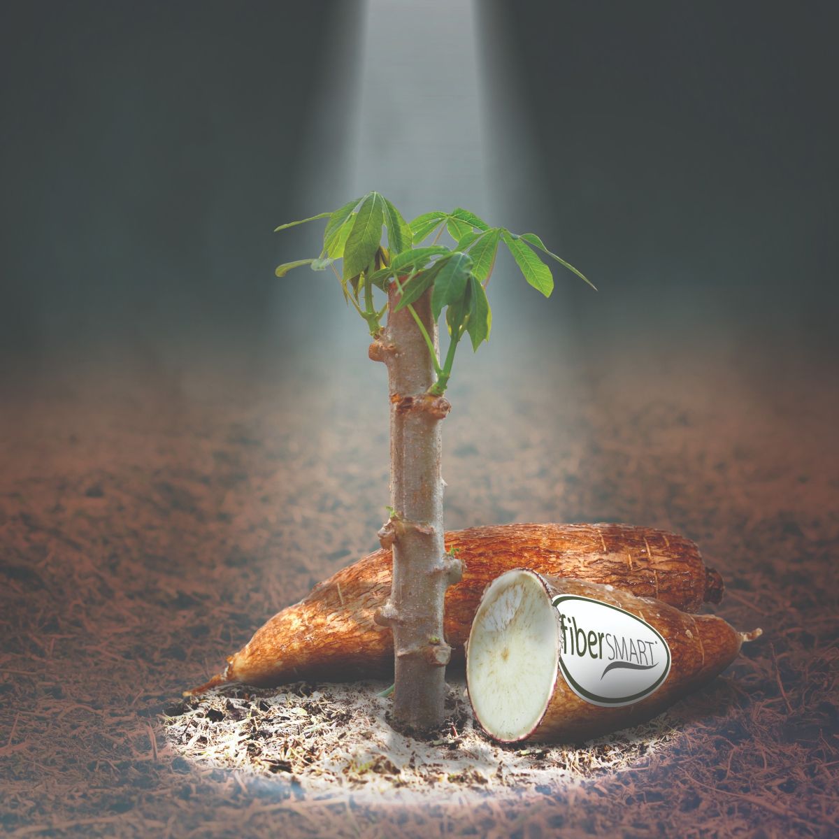 Fibersmart