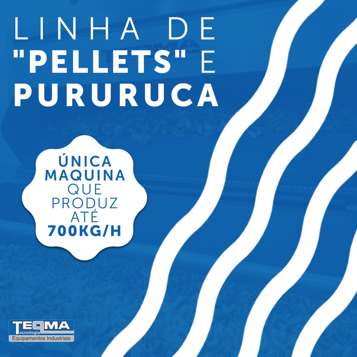 LINHA CONTÍNUA PARA A FRITURA DE PELLETS