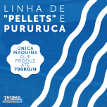 LINHA CONTÍNUA PARA A FRITURA DE PELLETS