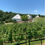 The Middleburg Virginia Wine Experience by Vino Virginia Wine Country Experiences