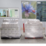 For market gardening, the most used products are ALLIANCE ITF, HP Climat and those from the Simple Plant Extracts range.