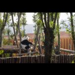 The Panda Pavilions