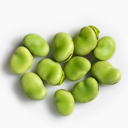 Fava bean proteins