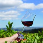 Terramàne per piccoli gruppi: I sentieri del gusto: viaggio enogastronomico tra mare e collina