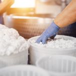 VISITE GUIDATE E DEGUSTAZIONI