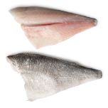 Our Seabream - Premium Quality