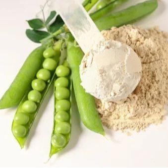 NUTRALYS® plant protein