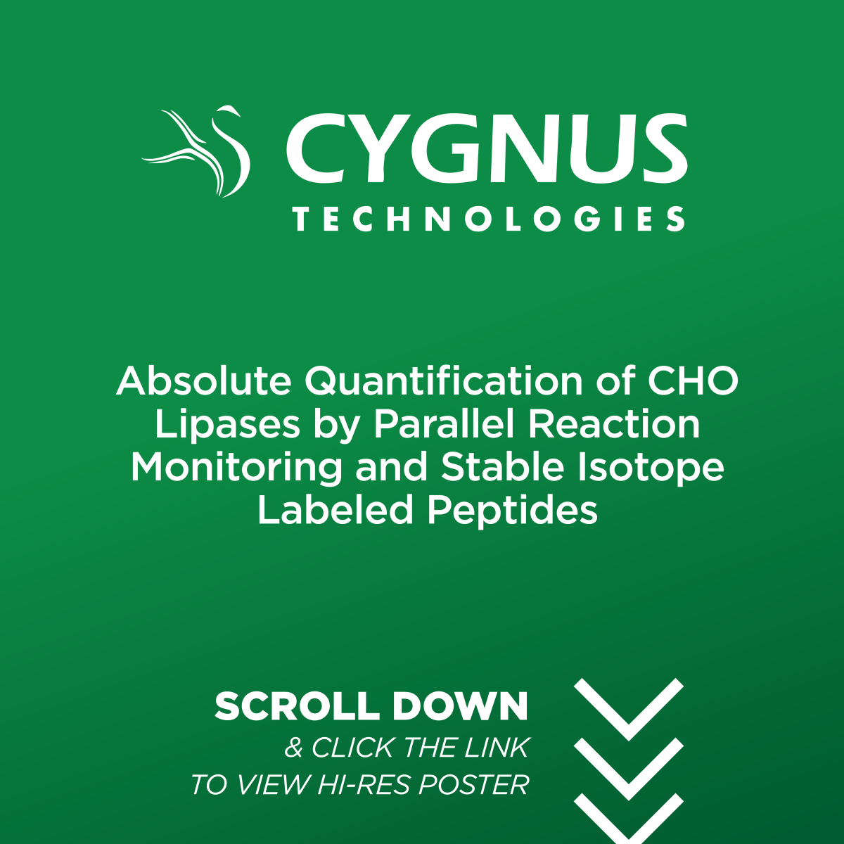 Absolute Quantification of CHO Lipases by Parallel Reaction Monitoring and Stable Isotope Labeled Peptides