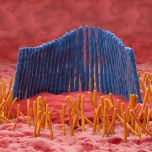 Motion Sickness under control