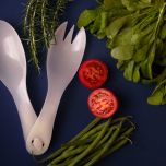 BioPlásticos Rígidos